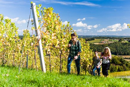 Wandern in den Weinbergen (c)pixelmaker.at TVB Bad Radkersburg