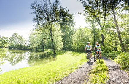 Radfahren am Liebmannsee (c) pixelmaker.at, TVB Region Bad Radkersburg