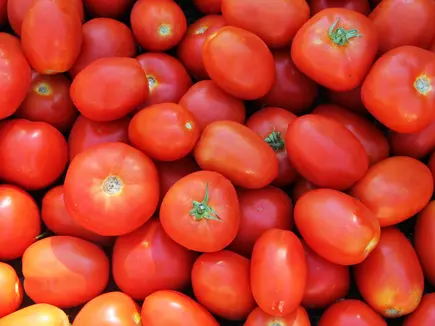 Tomaten Tomaten