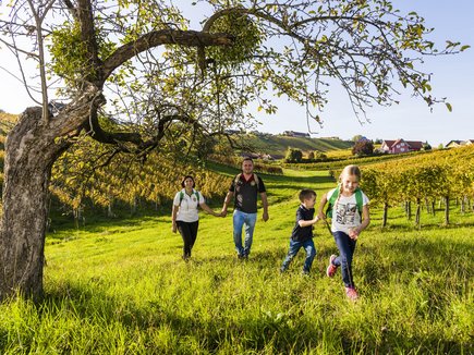 Weinwandern in der Region Bad Radkersburg