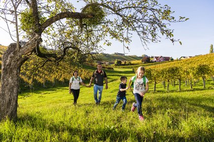 Genussvolles Weinwandern in der Region Bad Radkersburg