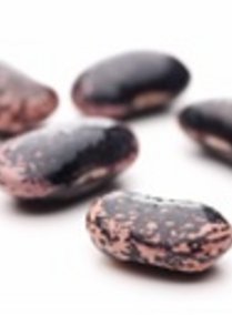 Käferbohnen aus der Steiermark Käferbohnen aus der Steiermark