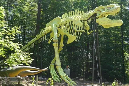 Styrassic Park Bad Gleichenberg Styrassic Park Bad Gleichenberg