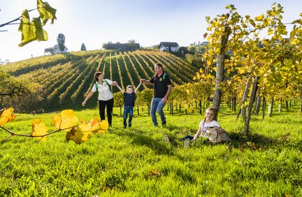 Weinwandern in der Region Bad Radkersburg