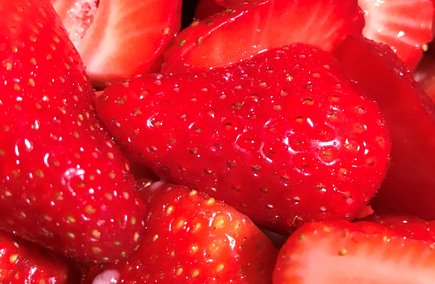 Frische Erdbeeren au der Region Bad Radkersburg