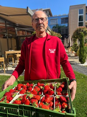 Erdbeeren Pechmann