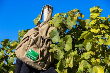 Wanderrucksack in den Weingärten