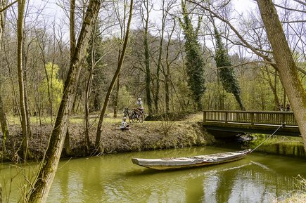 Murauen (c) pixelmaker.at, TVB Region Bad Radkersburg