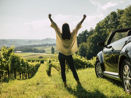 Vulkanland Route 66 Weinberge