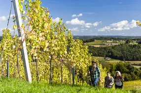 Weinwandern