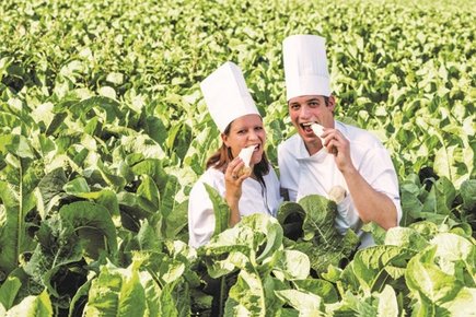 Steirischer Kren g.g.A.