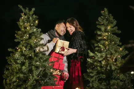 Weihnachten im Vitalhotel der Parktherme