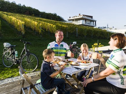 Radfahren entlang der Weinberge