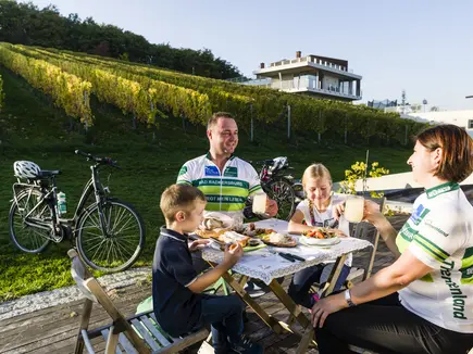 Radfahren entlang der Weinberge Radfahren entlang der Weinberge