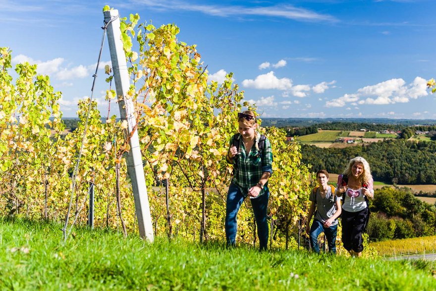 Weinwandern in der Region