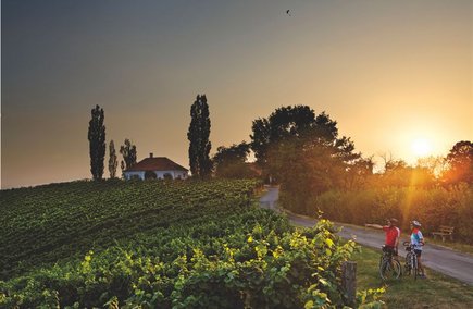 Sonnenuntergang am Rad genießen in Bad Radkersburg