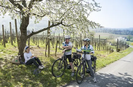 Radfahren im Frühling (c) pixelmaker.at TVB Bad Radkersburg Radfahren im Frühling (c) pixelmaker.at TVB Bad Radkersburg